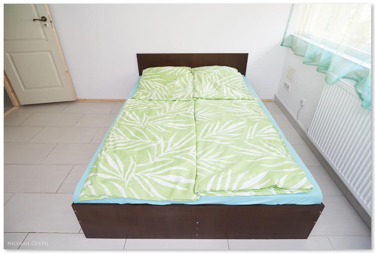 Zen House Hostel Timișoara Zewnętrze zdjęcie