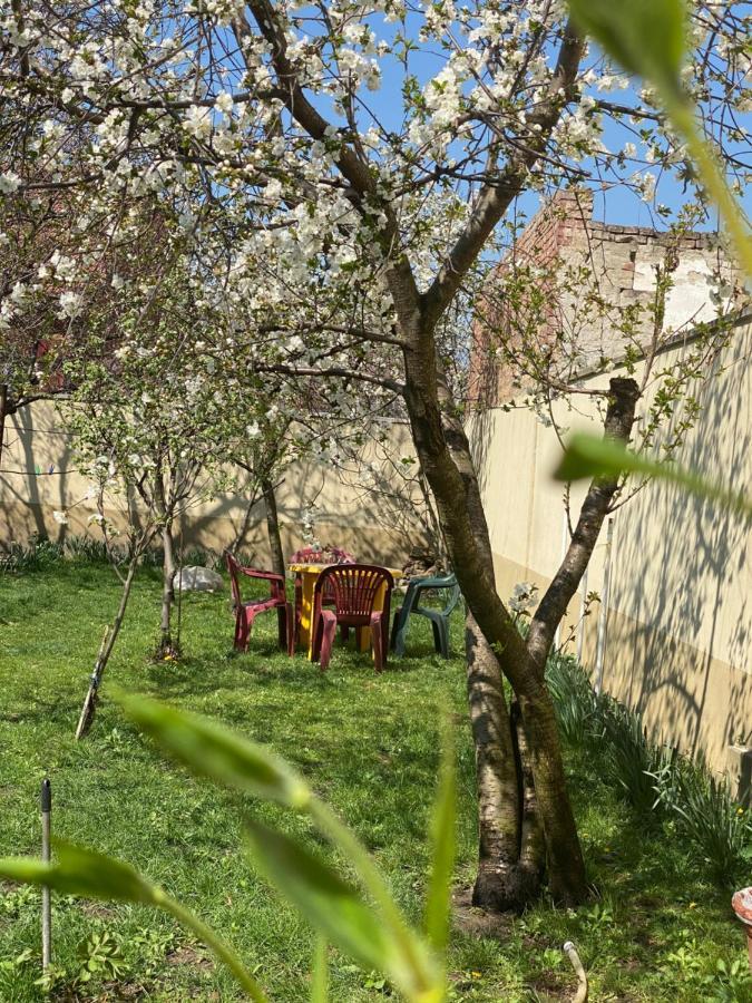 Zen House Hostel Timișoara Zewnętrze zdjęcie